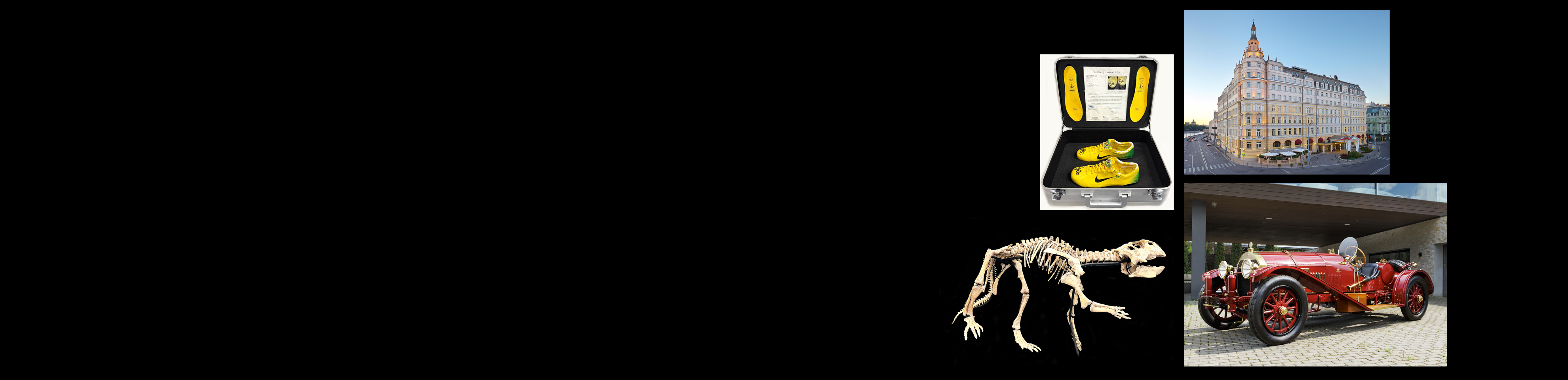 Аукцион W55 Многообразие тем коллекционирования (очный)